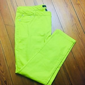 Ashley Stewart Plus Size Jeggings Size 26 Neon Gr